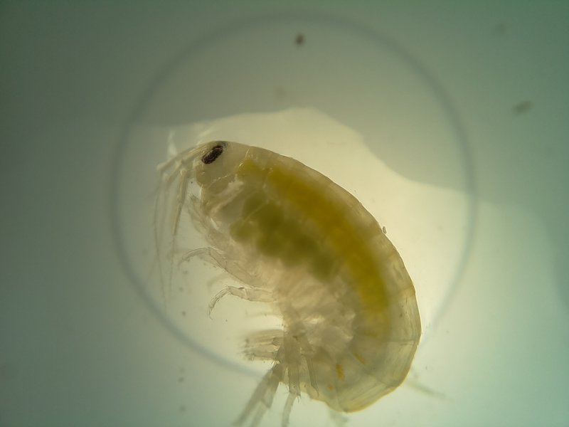 lab_11_9_2020_11