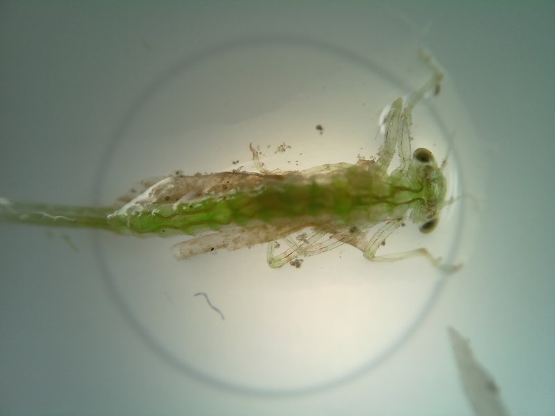 lab_11_9_2020_10