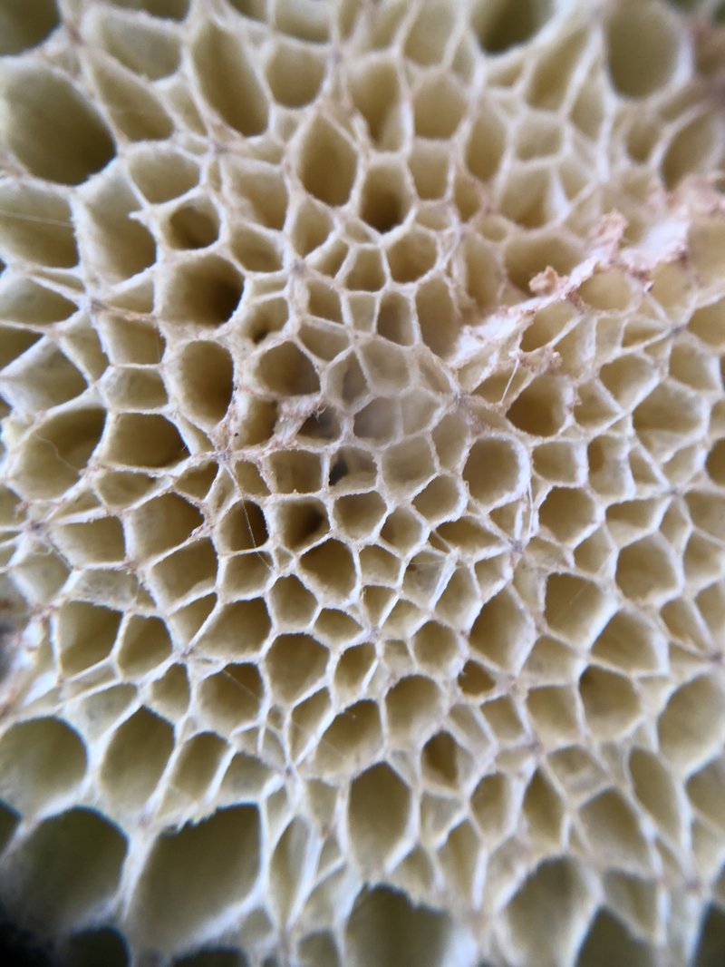 lab_10_9_2020_8