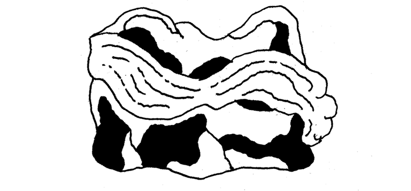 futuri.png